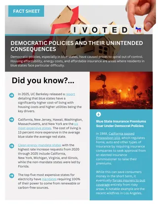 First page of Democratic Policies and Their Unintended Consequences