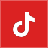 TikTok Icon