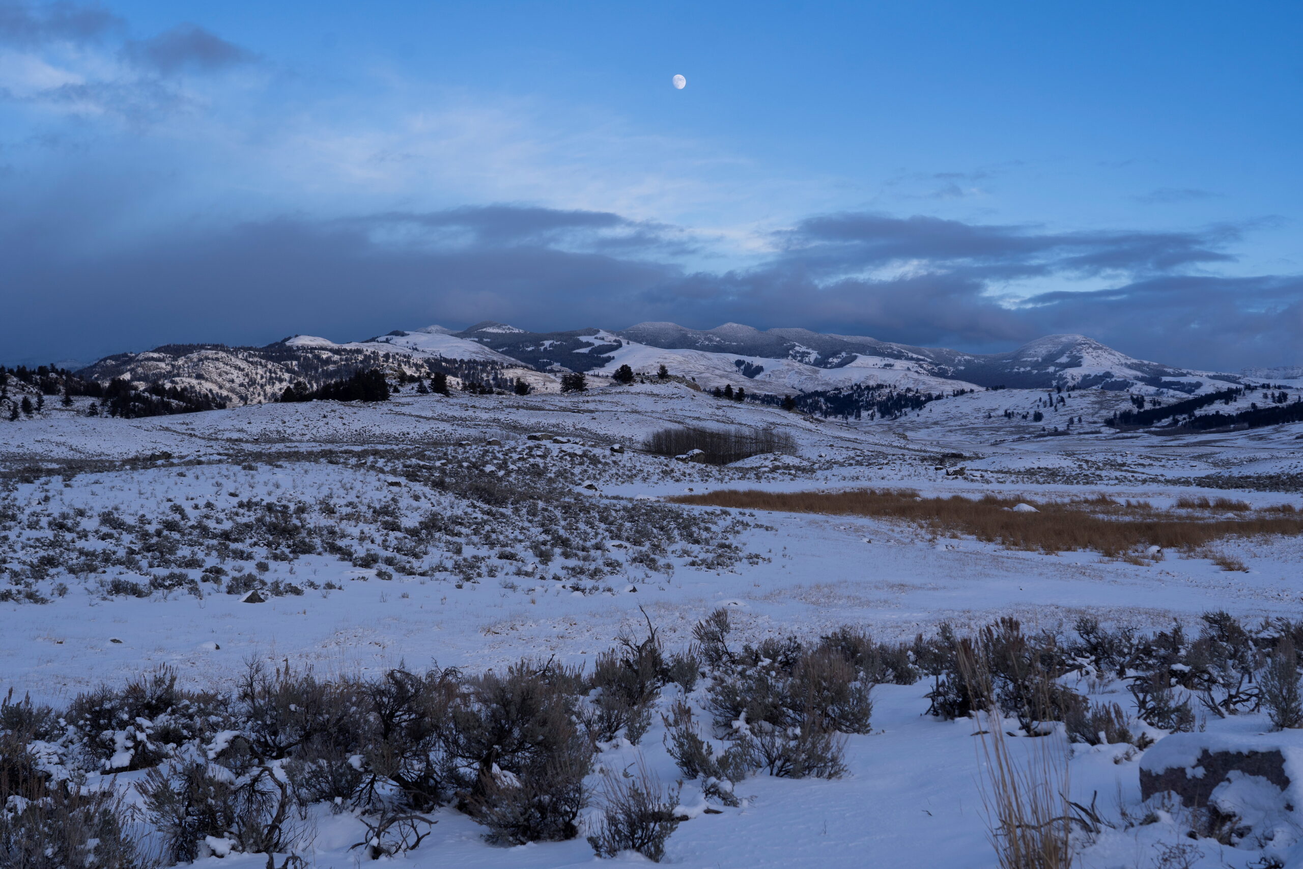 Father charged with child abuse after taking kids on dangerous Utah hike